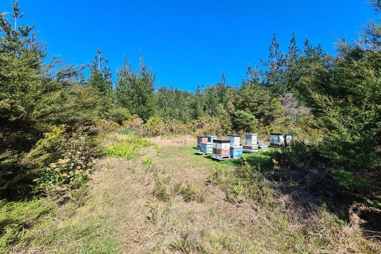 Photo of property in 110 Wood Road, Colville, Coromandel, 3584