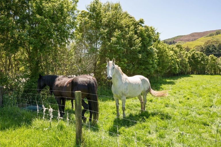 Photo of property in 4b Kanuka Rise, Wakapuaka, Nelson, 7071