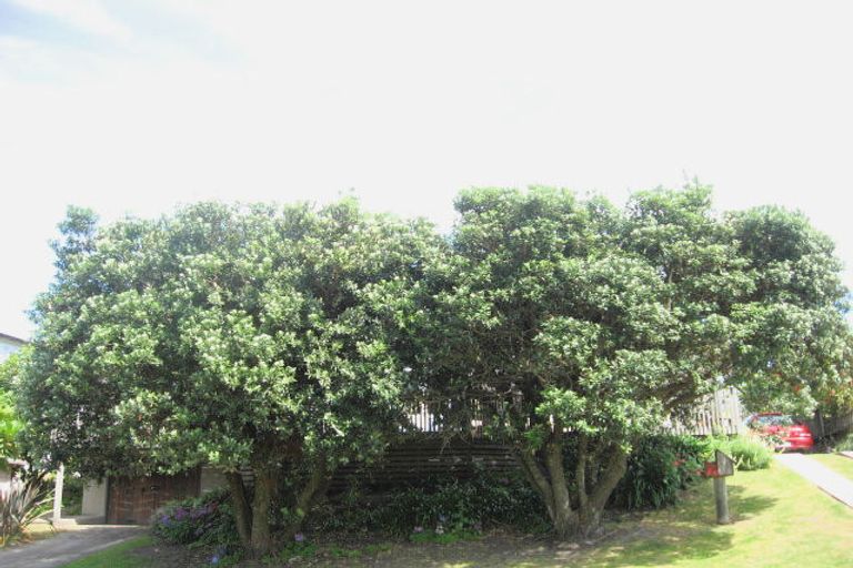 Photo of property in 7 Pare Street, Wainui, Gisborne, 4010