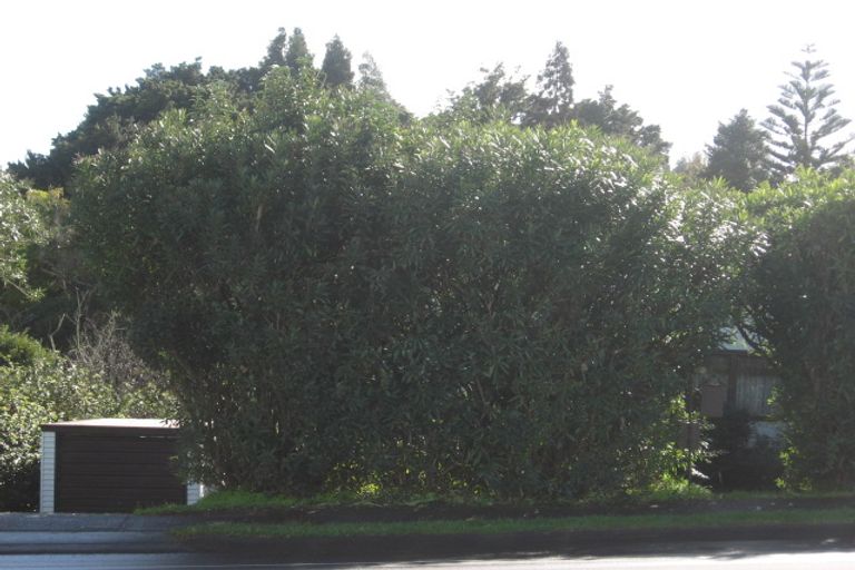 Photo of property in 76 Alfriston Road, Manurewa East, Auckland, 2102