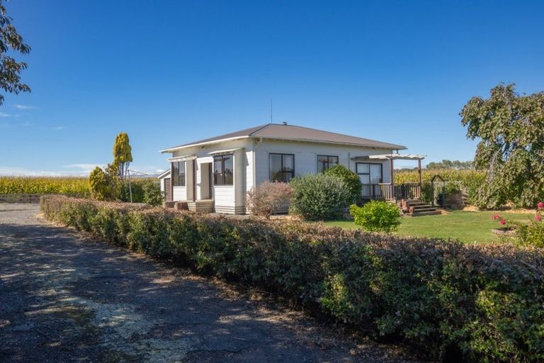 Photo of property in 421 Green Road, Rongotea, Palmerston North, 4476