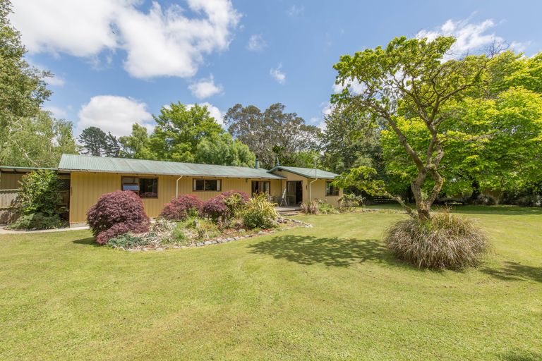 Photo of property in 2/4 Charles Street, Waddington, 7500