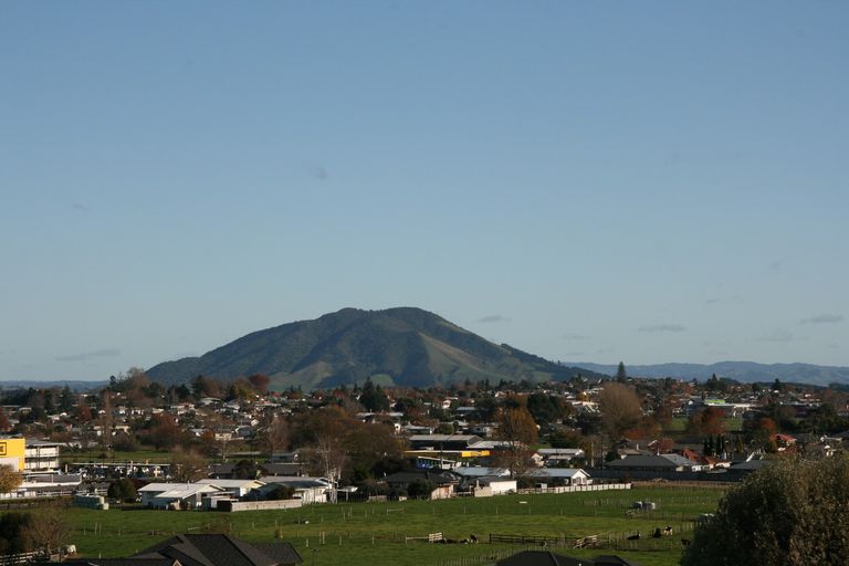 Photo of property in 493 Picquet Hill Road, Te Awamutu, 3800