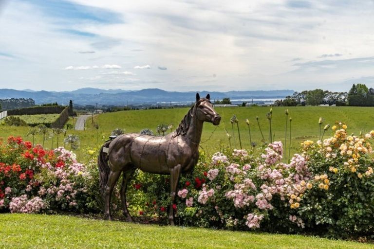 Photo of property in 515 Youngson Road, Whakamarama, Tauranga, 3179