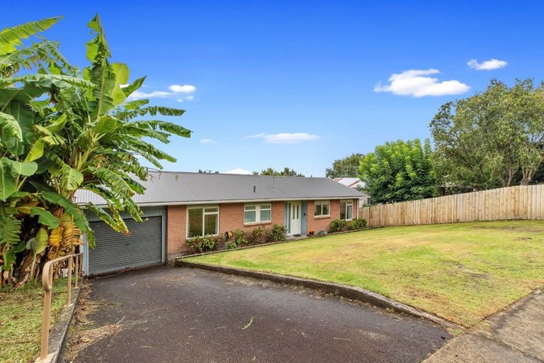 Photo of property in 21 Ward Street, Gate Pa, Tauranga, 3112