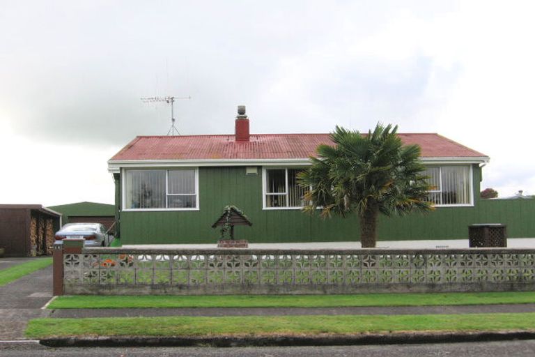 Photo of property in 19 Esk Crescent, Tokoroa, 3420
