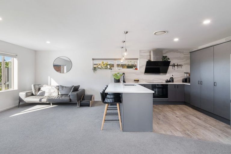 Photo of property in 9 Falconridge Place, Shirley, Christchurch, 8061