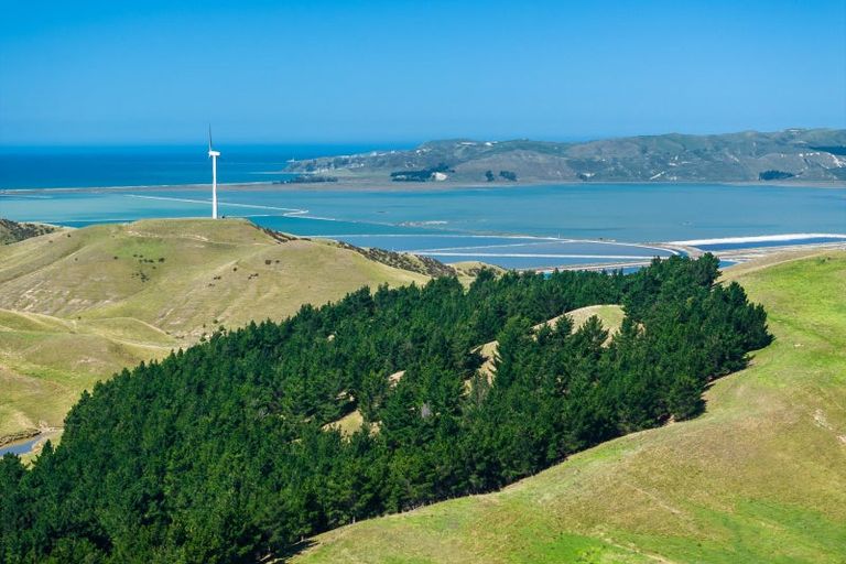 Photo of property in 363 Caseys Road, Lake Grassmere, Seddon, 7285