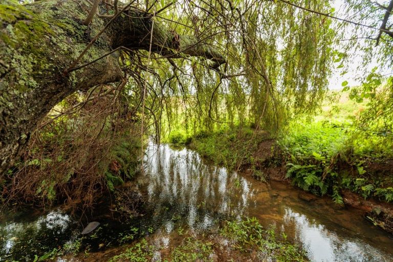 Photo of property in 47 Pook Road, Buckland, Pukekohe, 2677