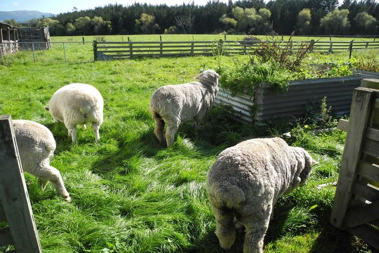 Photo of property in 13 Queens Terrace, Waimate, 7978
