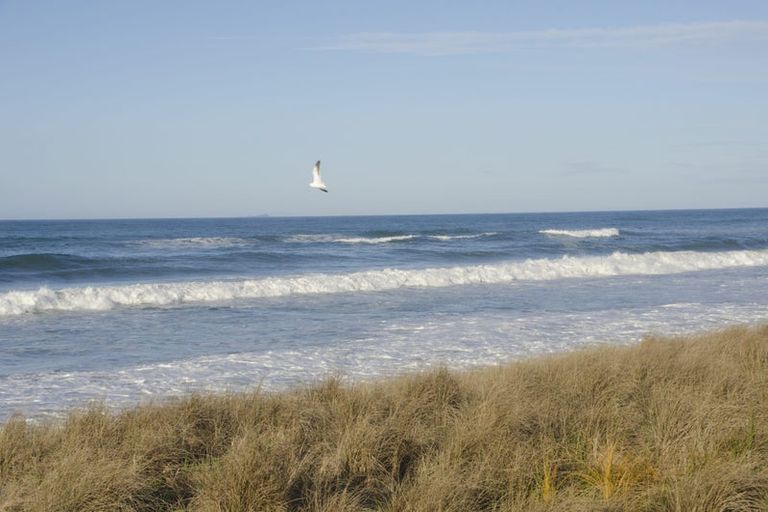 Photo of property in 51 Cotula Way, Papamoa Beach, Papamoa, 3118