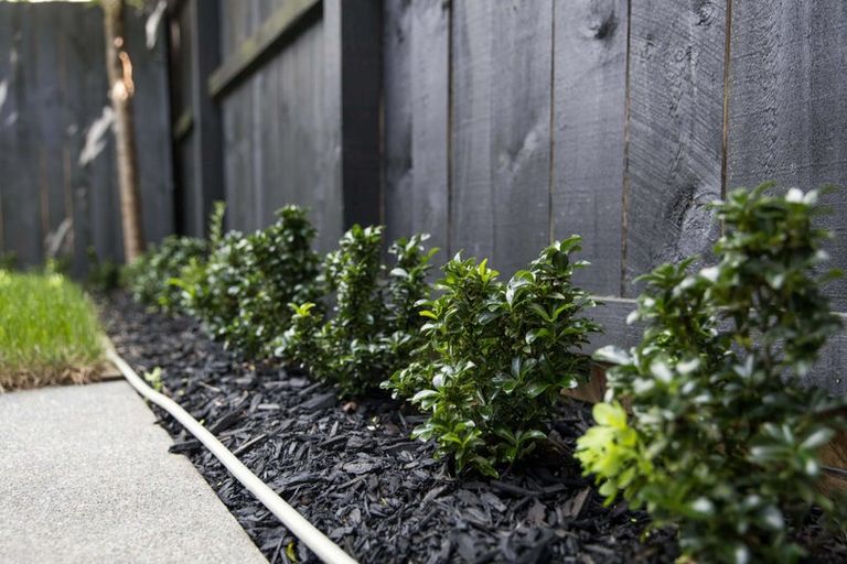 Photo of property in 12b Titoki Street, Te Atatu Peninsula, Auckland, 0610