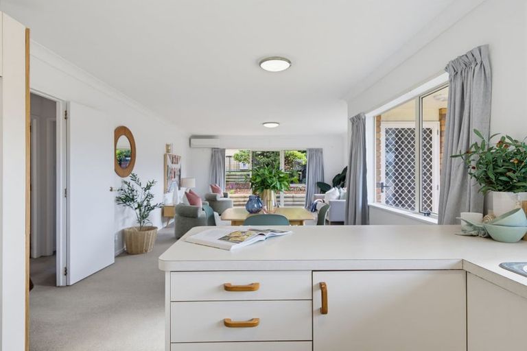 Photo of property in 6 Racecourse Way, Gate Pa, Tauranga, 3112