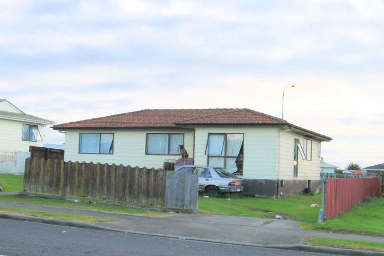 Photo of property in 41 Dissmeyer Drive, Clover Park, Auckland, 2019