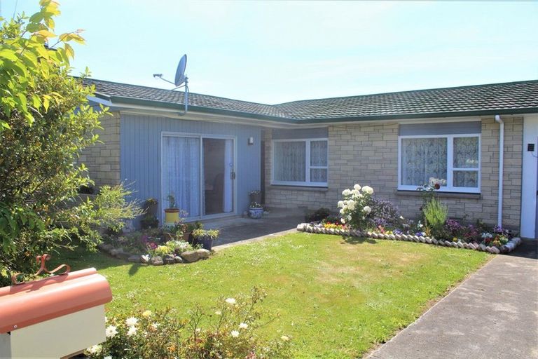 Photo of property in 38 Guy Street, Dannevirke, 4930