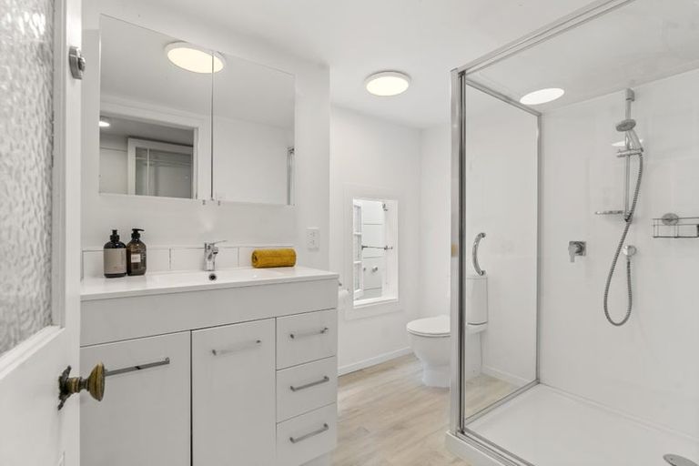 Photo of property in 7 Vine Street, Saint Marys Bay, Auckland, 1011