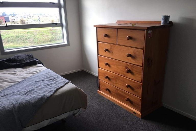 Photo of property in 29 Portland Lane, Chartwell, Hamilton, 3210