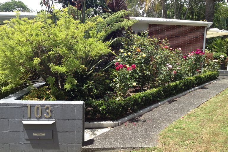 Photo of property in 103 Hospital Road, Horahora, Whangarei, 0110