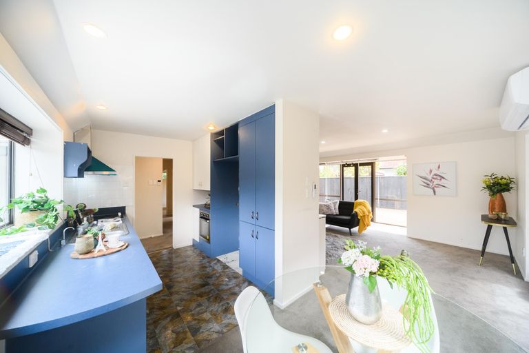 Photo of property in 224a Victoria Avenue, Hokowhitu, Palmerston North, 4410