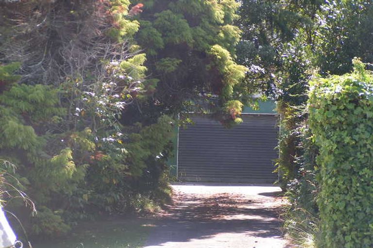 Photo of property in 1/11 Tristram Avenue, Forrest Hill, Auckland, 0620