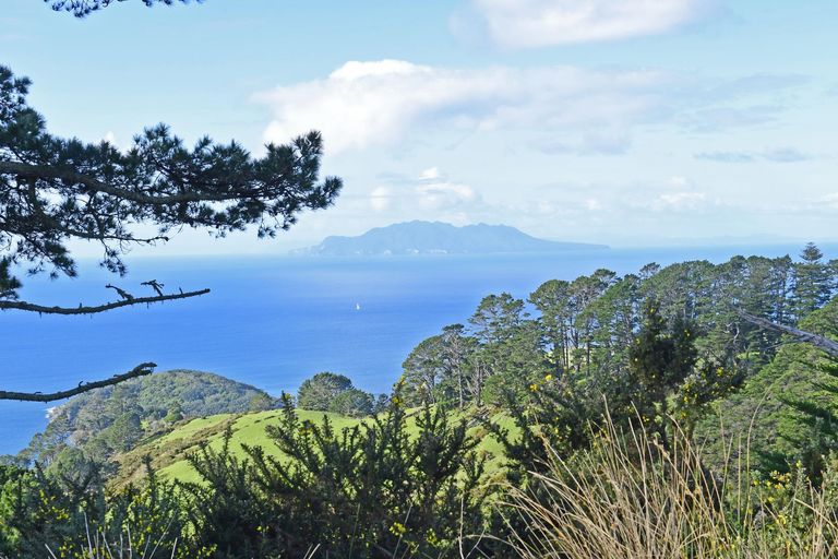 Photo of property in 21 J Greenwood Road, Leigh, Warkworth, 0985