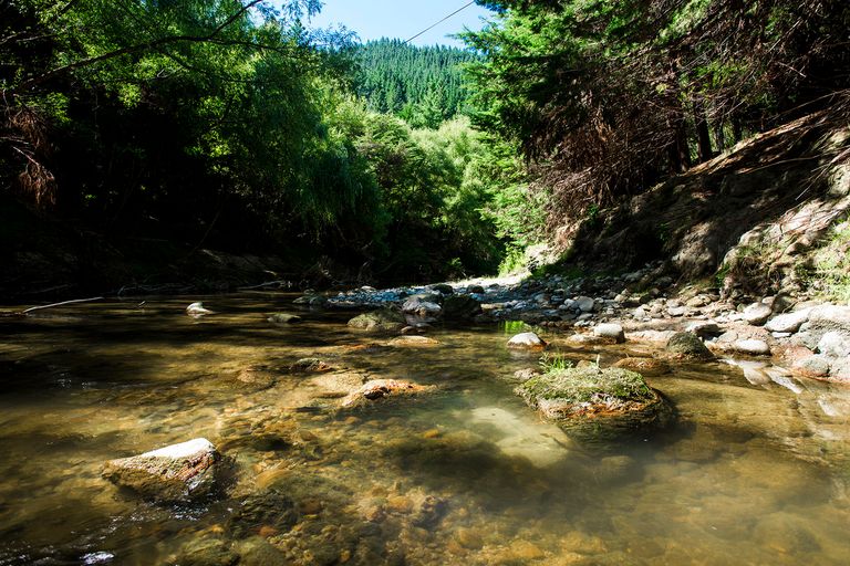 Photo of property in 1441 Waimata Valley Road, Waimata, 4073