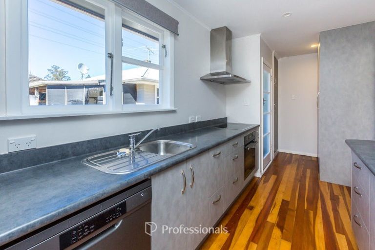 Photo of property in 55 Black Beech Street, Birchville, Upper Hutt, 5018