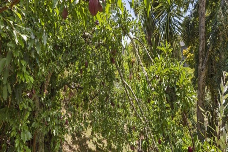 Photo of property in 13 Bay View Road, Raglan, 3225