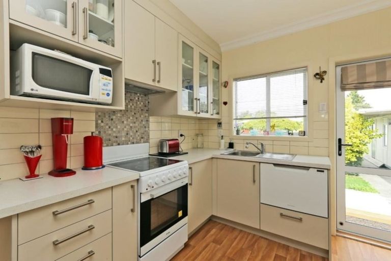 Photo of property in 417 Massey Street, Akina, Hastings, 4122