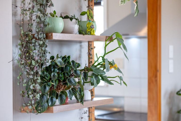 Photo of property in 1b Tomin Road, Glenview, Hamilton, 3206