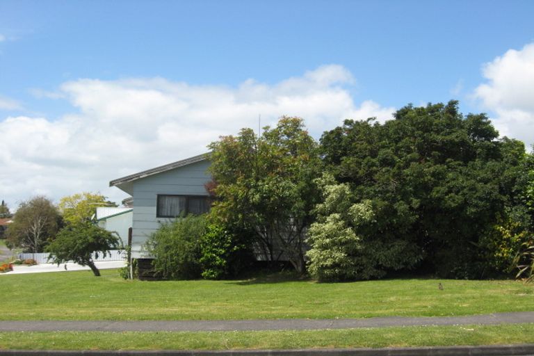 Photo of property in 180 Finlayson Avenue, Clendon Park, Auckland, 2103