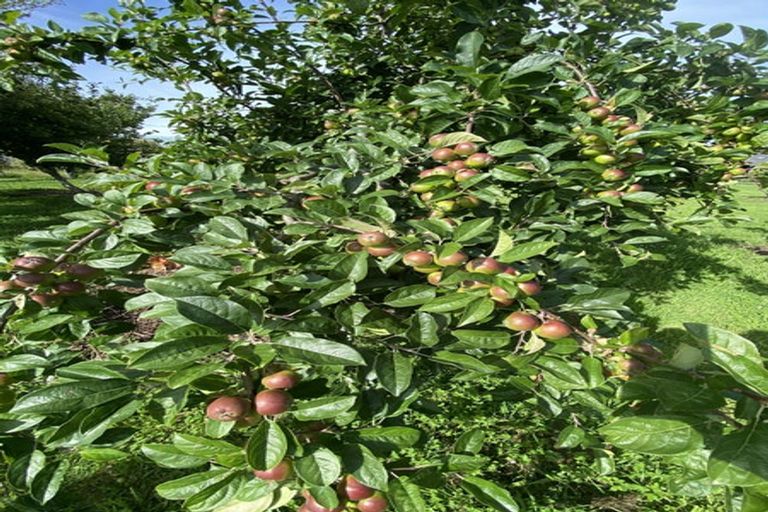 Photo of property in 59a Selwyn Street, Pohara, Takaka, 7183