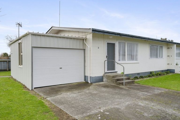 Photo of property in 1/145 College Street, Awapuni, Palmerston North, 4412