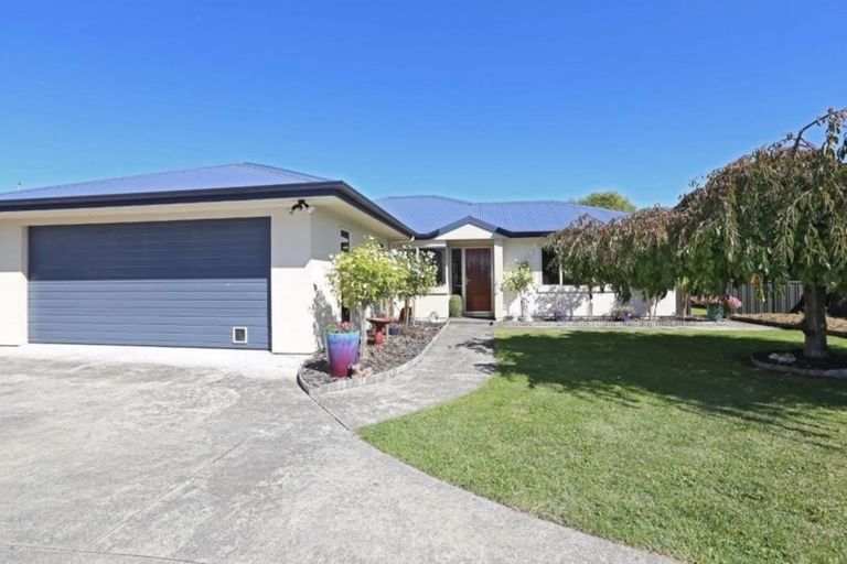 Photo of property in 524 Wall Road, Raureka, Hastings, 4120