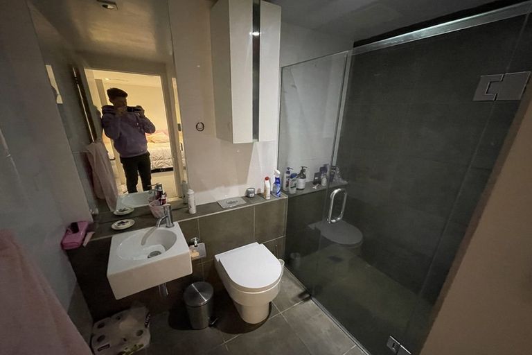 Photo of property in 7 Birdwood Crescent, Parnell, Auckland, 1052