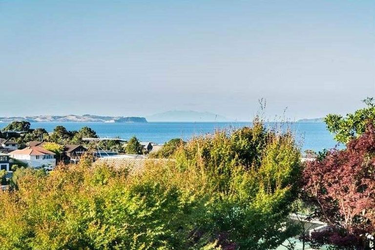 Photo of property in 8 Taumata Road, Castor Bay, Auckland, 0620