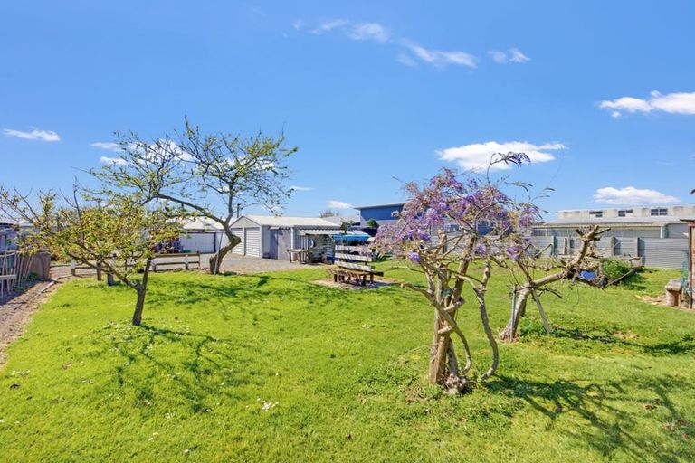 Photo of property in 24 Linklater Avenue, Foxton Beach, Foxton, 4815