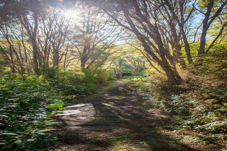 Photo of property in 649 Riverside Road, Matokitoki, Gisborne, 4071