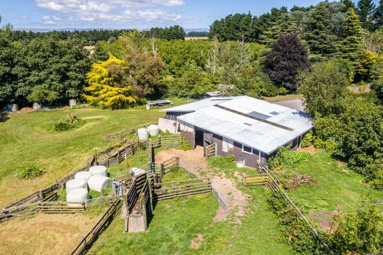 Photo of property in 258 Norfolk Road, Waingawa, Carterton, 5791