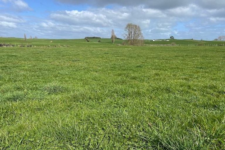 Photo of property in 81 Arapuni Road, Putaruru, 3481