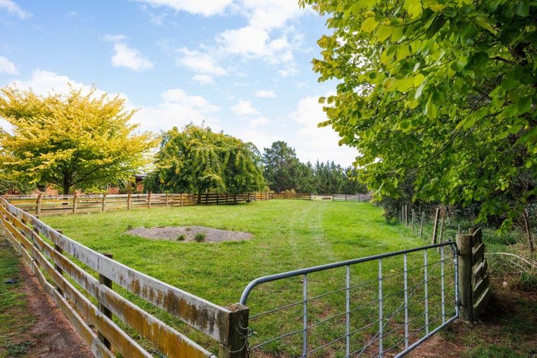 Photo of property in 285 Forlong Road, Colyton, Feilding, 4775