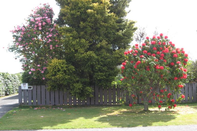 Photo of property in 46 York Street, Glenholme, Rotorua, 3010