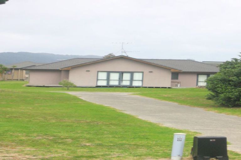 Photo of property in 113 Puka Crescent, Matarangi, Whitianga, 3592