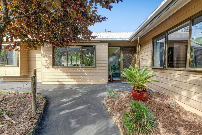 Photo of property in 1688 South Head Road, South Head, Helensville, 0874