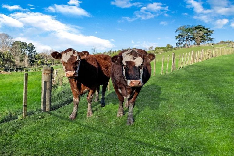 Photo of property in 17c Teal Avenue, Feilding, 4775