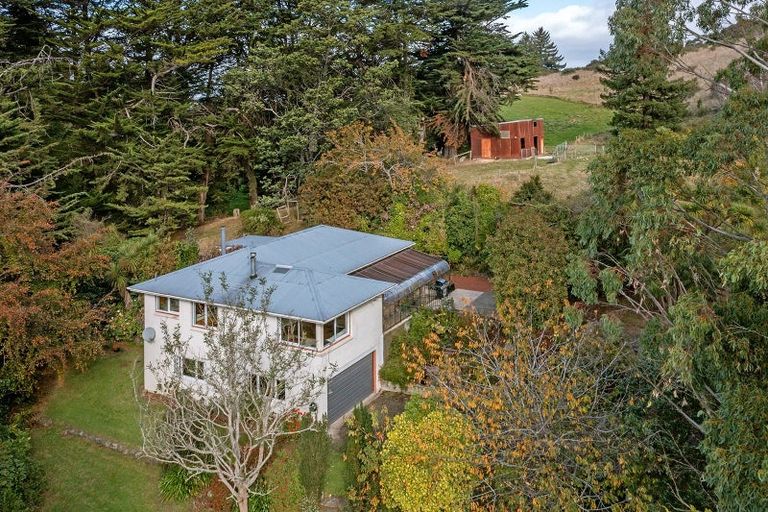 Photo of property in 33 Ettrick Street, Glenross, Dunedin, 9011