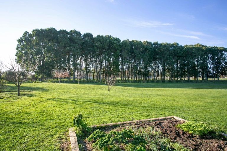 Photo of property in 49 Forrest Road, Cambridge, 3493