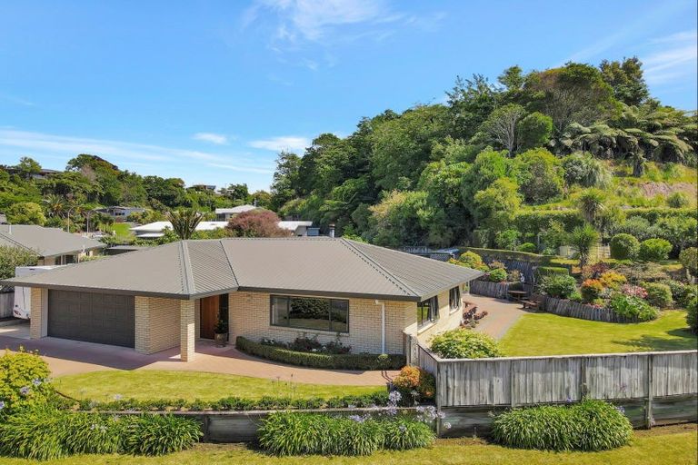 Photo of property in 38 Roto Street, Hurdon, New Plymouth, 4310