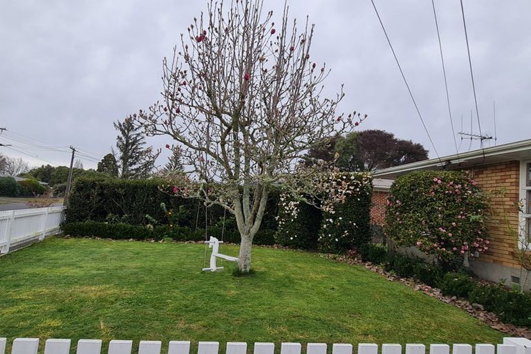 Photo of property in 7 Augusta Street, Fairfield, Hamilton, 3214