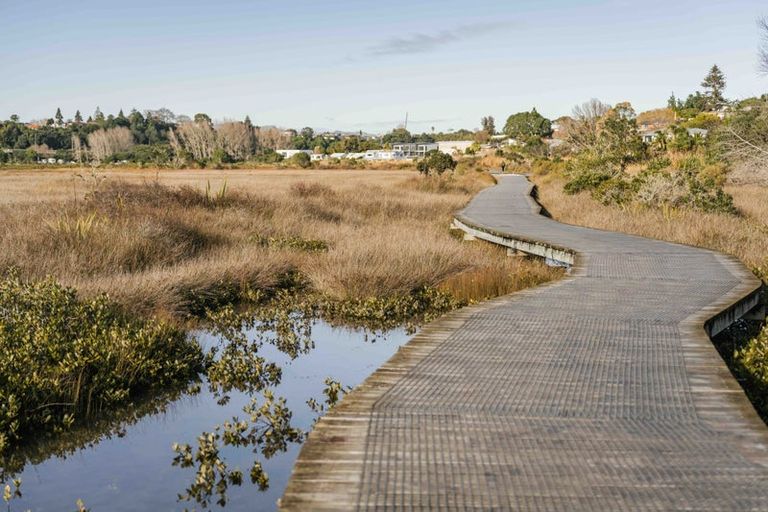 Photo of property in 80 Sutherland Road, Brookfield, Tauranga, 3110